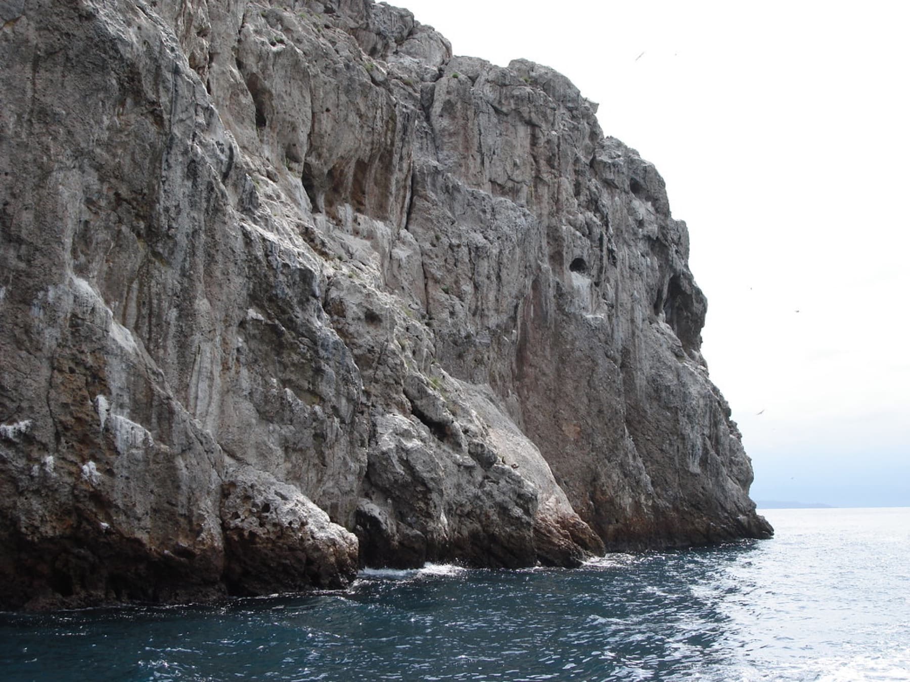 Marietas Islands · Todochido Tours