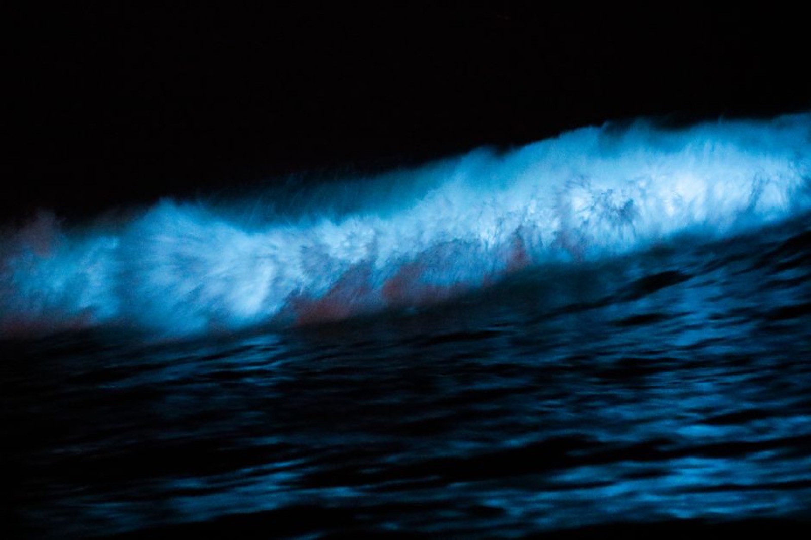 Bioluminescent waves glowing at night