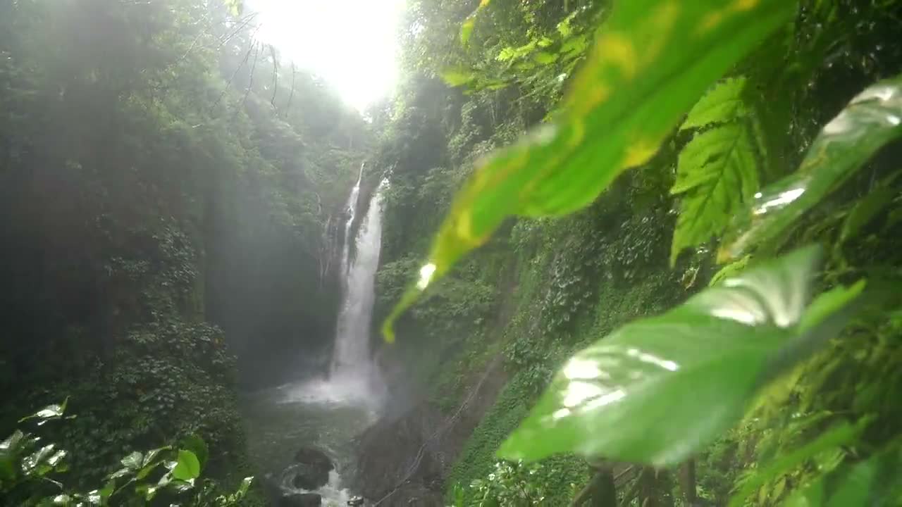 Jungle waterfall through the leaves